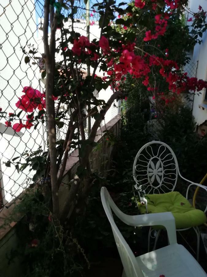 Llança Can Pau Guesthouse מראה חיצוני תמונה